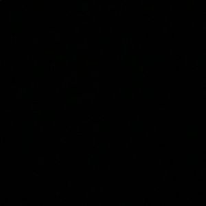 Meet your Posher, Lucas